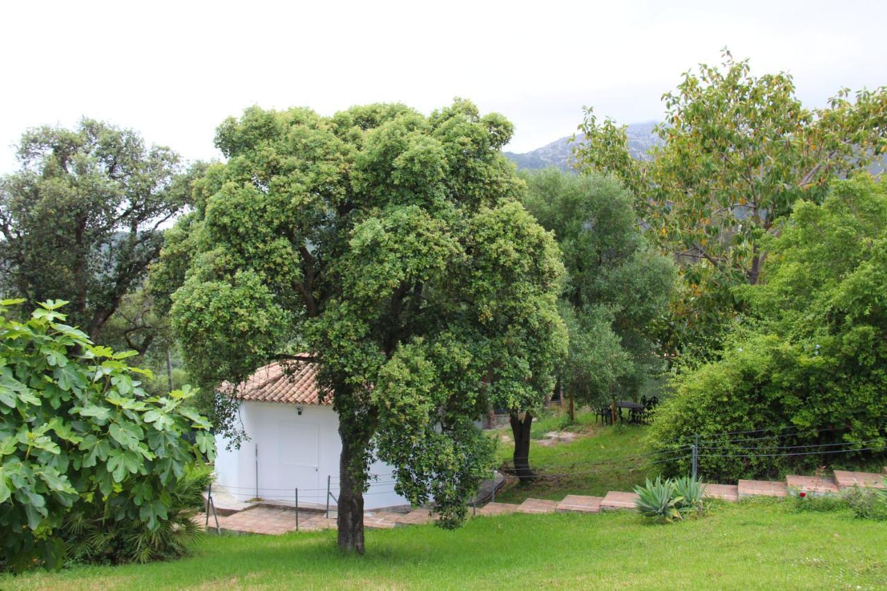 Finca El Campo Algeciras Exterior photo
